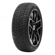 Delinte AW6 