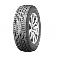 Roadstone Winguard Ice SUV 