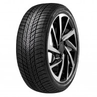 Roadstone Winguard Ice Plus 